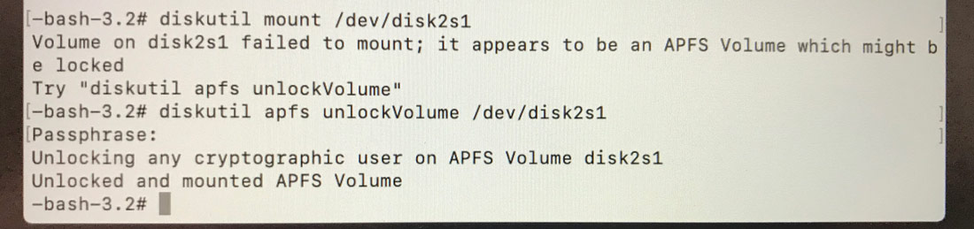 Volume in disk2s1 failed to mount; it appears to be an APFS Volume which might be locked