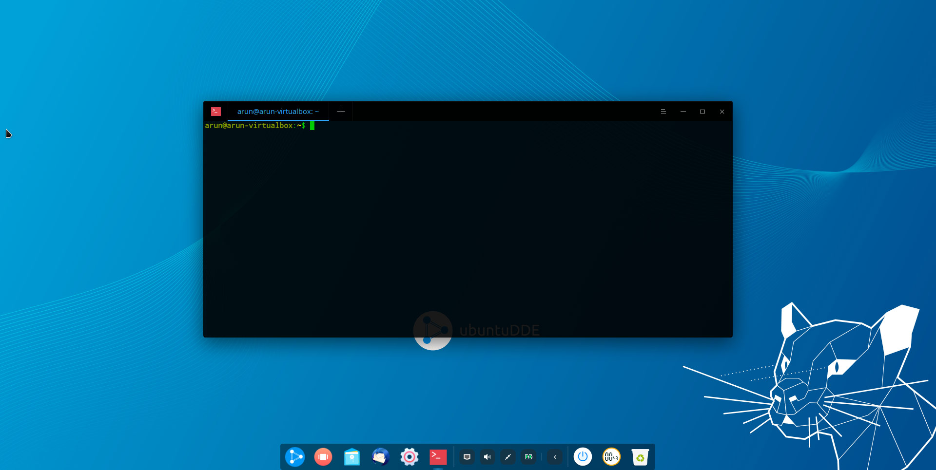 Окно терминала UbuntuDDE