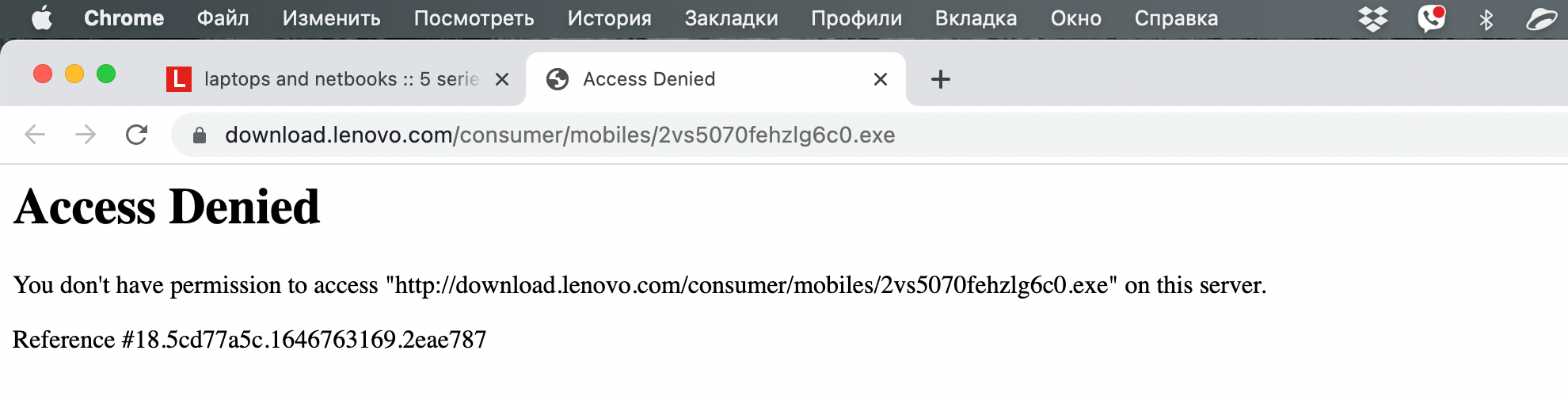 Такая ошибка возникает при попытке загрузить драйвера с сайта LENOVO без VPN