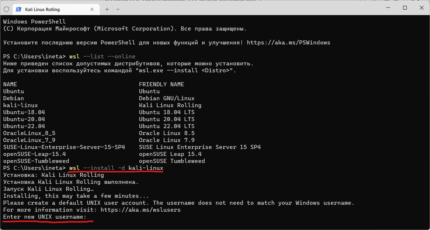 Установка Kali Linux из командной строки Windows (ввод имени пользователя Linux)
